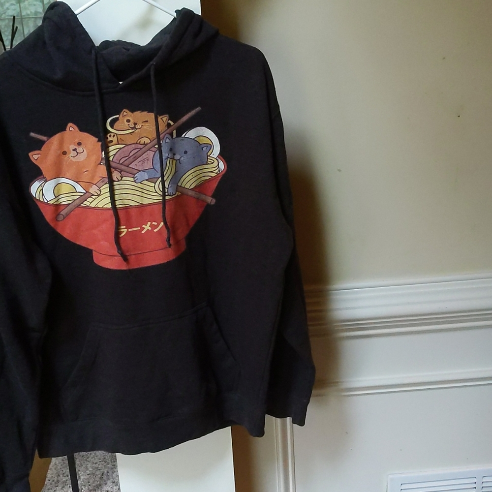 Cats in noodle bowl hoodie